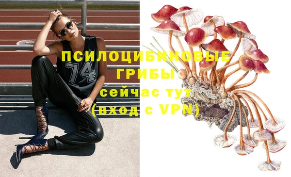сатива Абаза