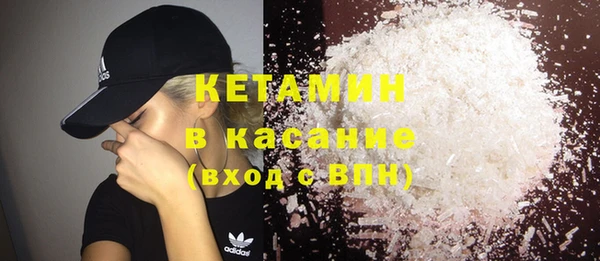 шишки Горняк
